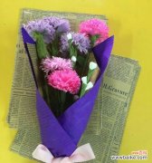 一朵康乃馨的深刻含义 康乃馨