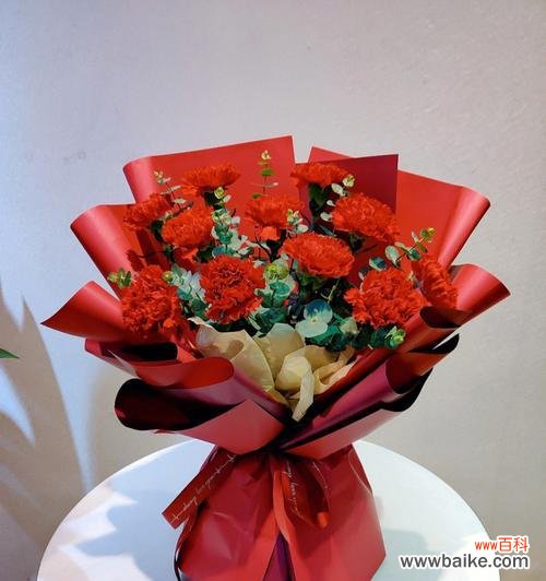 一朵康乃馨的深刻含义 康乃馨