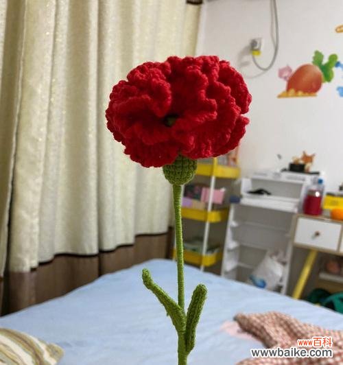 一朵康乃馨的深刻含义 康乃馨