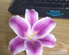 探索紫色百合花代表的深层含义 紫色百合花的象征意义