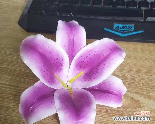 探索紫色百合花代表的深层含义 紫色百合花的象征意义