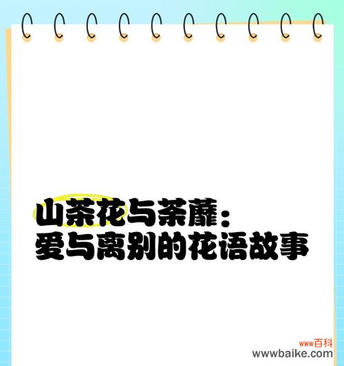 别等离开的花语含义是什么?这种花象征着什么?