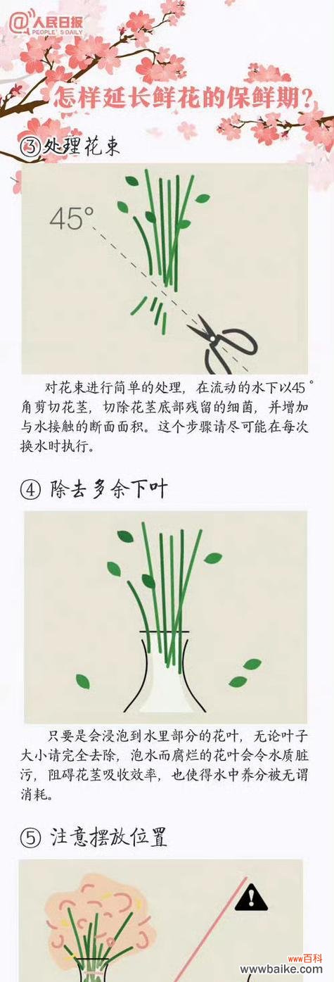 心疼她的花语是什么?表达心疼的花语有哪些?