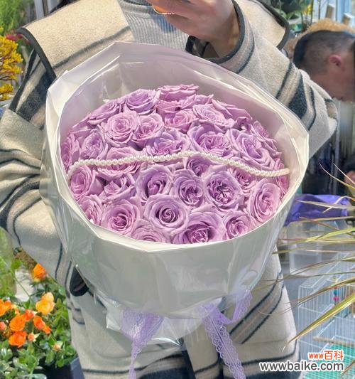 20朵紫玫瑰花语代表什么?如何挑选寓意深刻的花束?