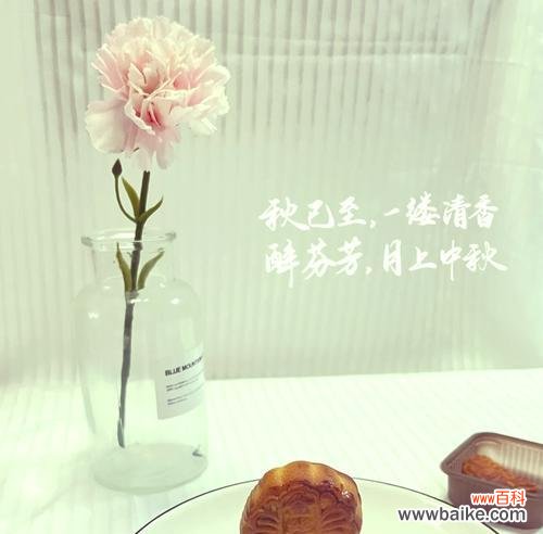 稻香村月饼的花语是什么？月饼与花语有何联系？