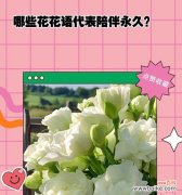 花语寓意长长久久的花是什么？你知道它是什么吗？
