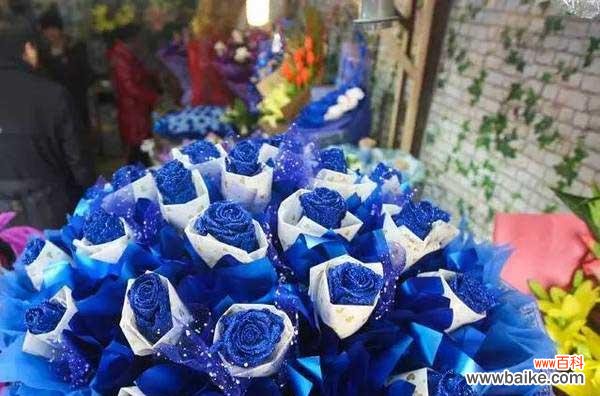 追寻蓝色妖姬的花海,解读花语中的秘密 蓝色妖姬的花语