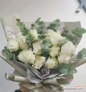探寻白玫瑰的情感与美学 一束白玫瑰的象征意义
