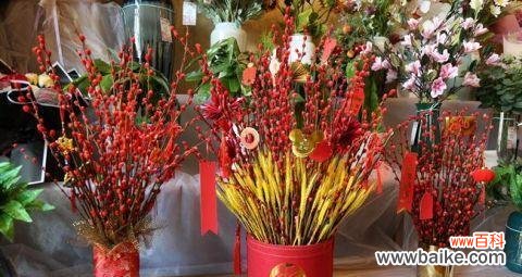 探索银柳的美与内涵，解读其含义 银柳的花语与寓意