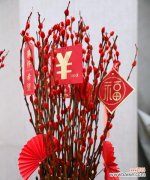 探索银柳的美与内涵，解读其含义 银柳的花语与寓意