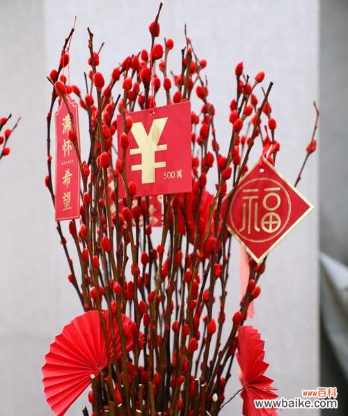 探索银柳的美与内涵，解读其含义 银柳的花语与寓意