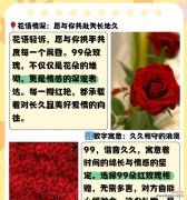 22朵红玫瑰的花语有何特别含义？