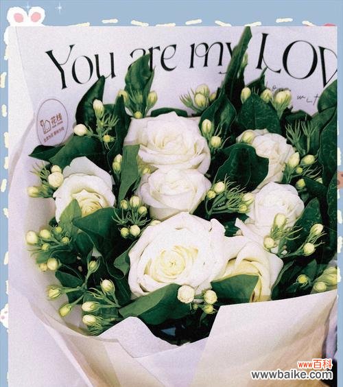 生日送茉莉花代表什么意义?