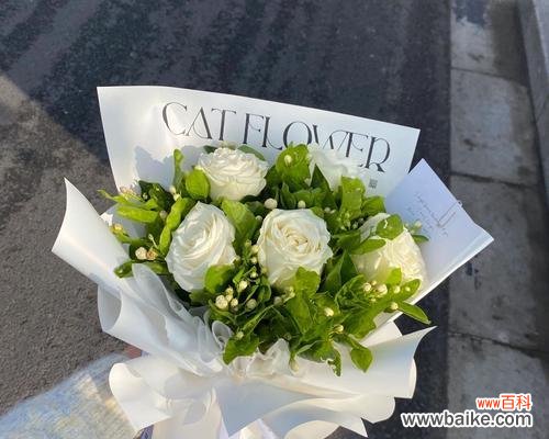 生日送茉莉花代表什么意义?