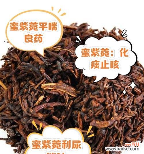 夕阳紫苑的花语寓意有哪些?它象征着什么?