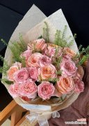 仙女粉玫瑰的花语有何特别之处？如何挑选合适的花语？