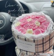 探寻永生花的神秘之美与情感表达 永生花的花语及其深层寓意