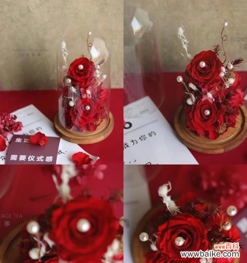 探寻永生花的神秘之美与情感表达 永生花的花语及其深层寓意