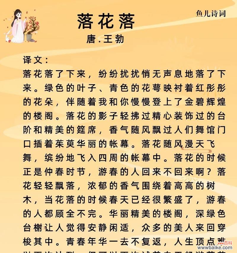 纷飞的花语具体表达什么情感？