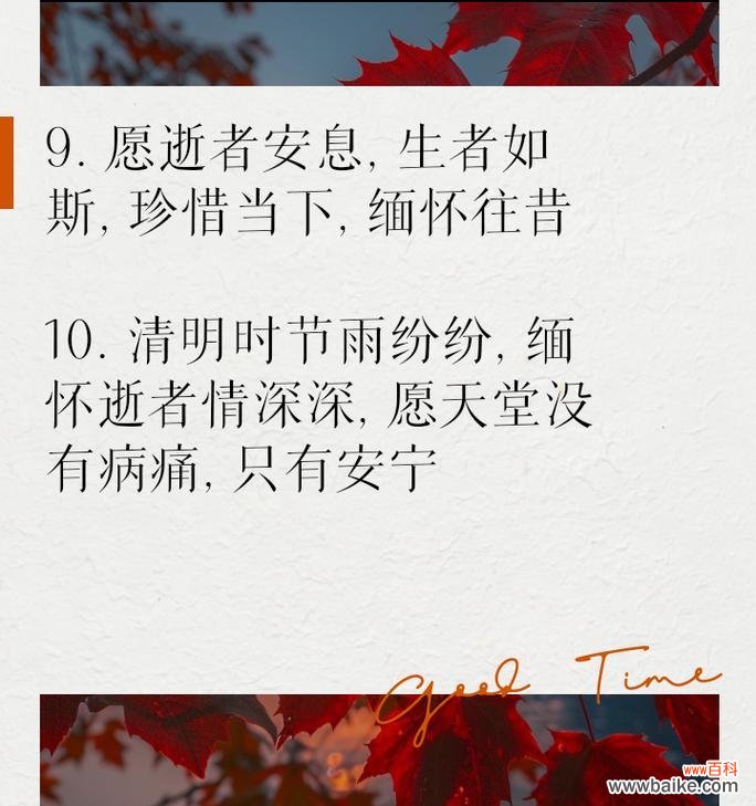 表达死亡愿望的花语是什么?它通常用于什么场合?