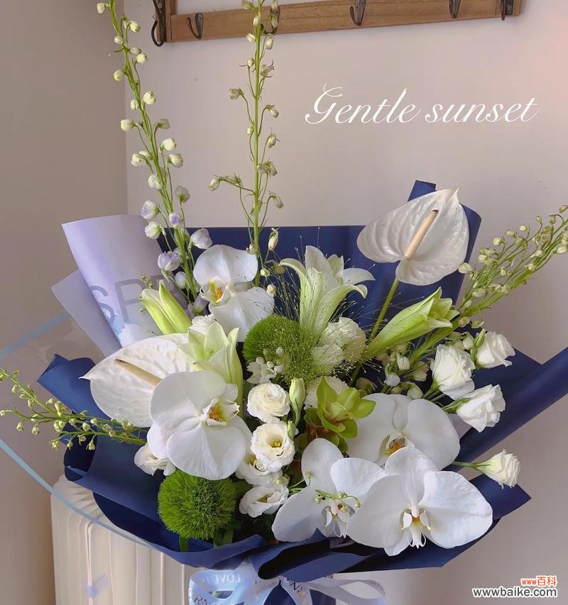 哪种花象征男生？男生的花语和寓意是什么？