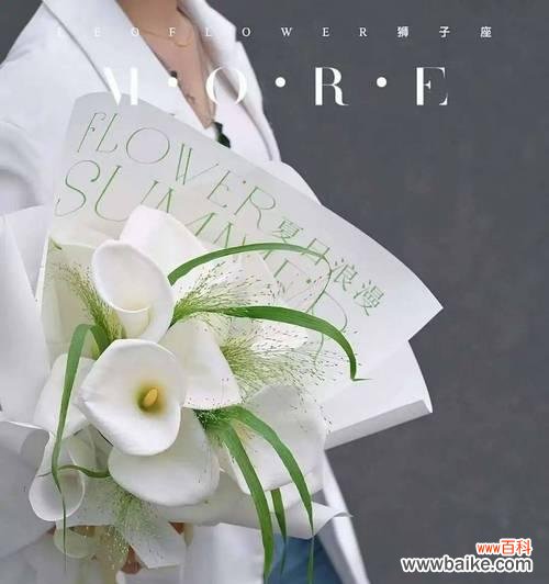 尤加利叶花语的意义和传承 尤加利叶花语——勇敢和治愈的象征