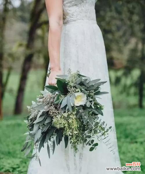 尤加利叶花语的意义和传承 尤加利叶花语——勇敢和治愈的象征