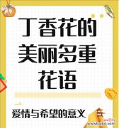 丁香花的花语与哪些诗句相关联？