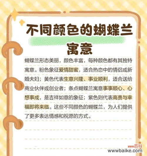 蝴蝶兰象征的花语含义是什么?