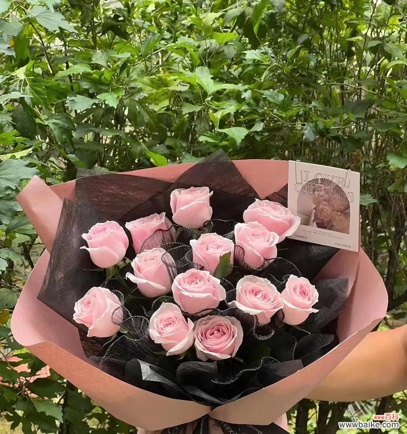 送你朋友粉色玫瑰花代表什么?粉色玫瑰的花语有哪些含义?