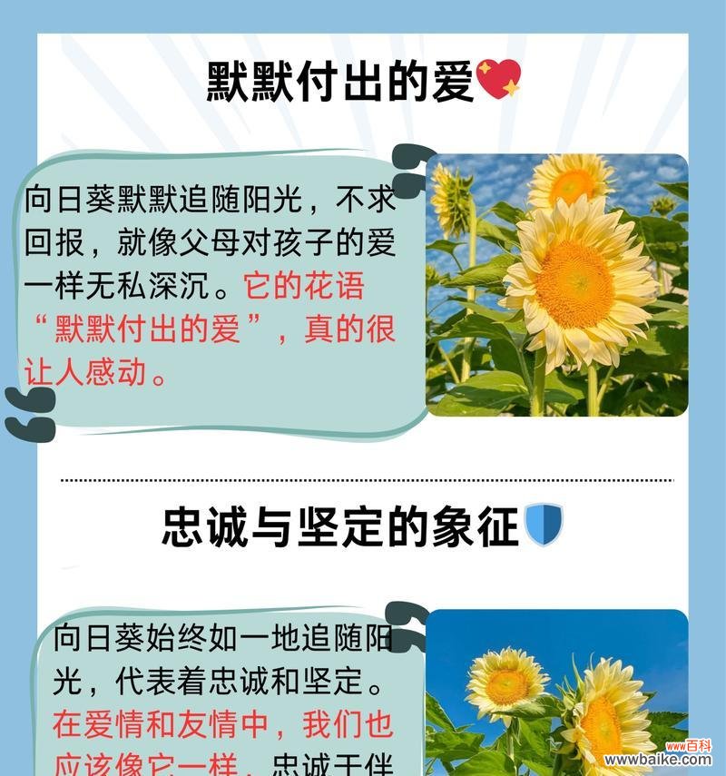 向日葵的花语对小袁有何意义?