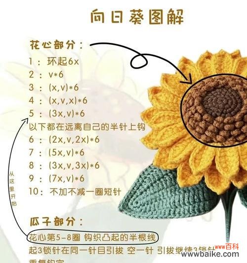 向日葵的花语对小袁有何意义?