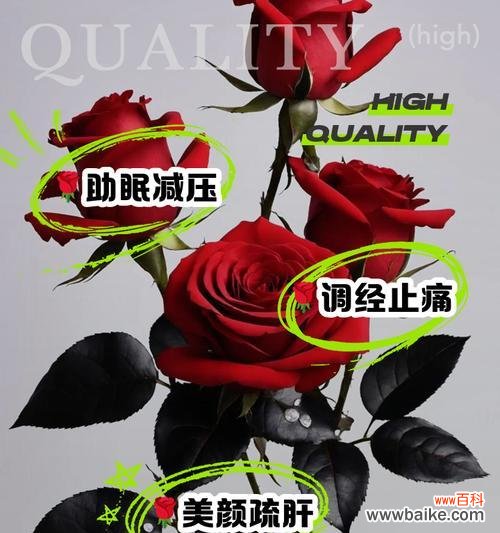 玫瑰花究竟蕴含着哪些深层含义？