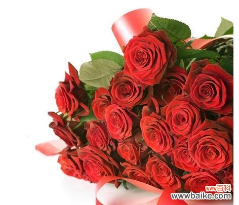 玫瑰花语的深意与传承 14朵玫瑰