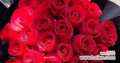 玫瑰传达的深情与浪漫 20朵玫瑰的花语大揭秘