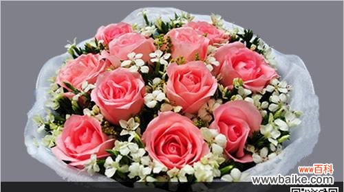 探索25朵玫瑰花的隐含意义 玫瑰花花语的深刻含义