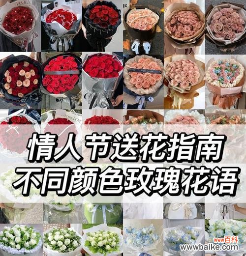 灼烧玫瑰花语是什么?灼烧玫瑰代表什么情感?