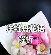 幸福花语具体代表什么？