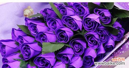 一束花中蕴藏的情感告白 31朵玫瑰的花语