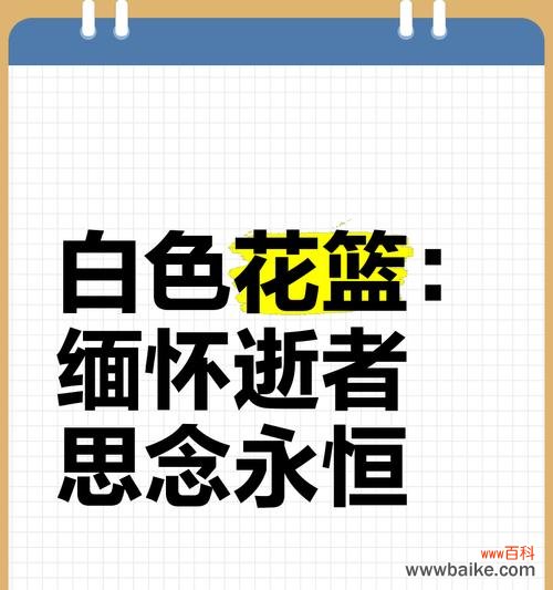 怀念往事的花语是什么？哪种花代表怀旧？