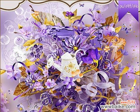 紫色和白色丝带玫瑰花的花语是什么?它们有何象征意义?