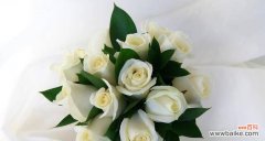 传递浓浓爱意的90朵玫瑰花 90朵玫瑰花的花语