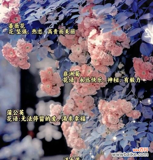 彻底分手的花语是什么？分手时应该选择哪种花？