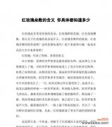 48支玫瑰花的花语是什么？它代表了什么特别的意义？