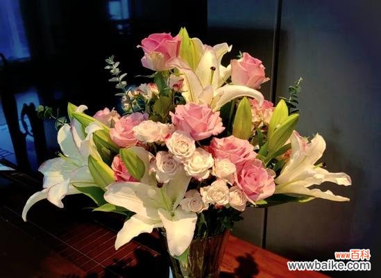 马尔她蓝百合花语有何特别之处?