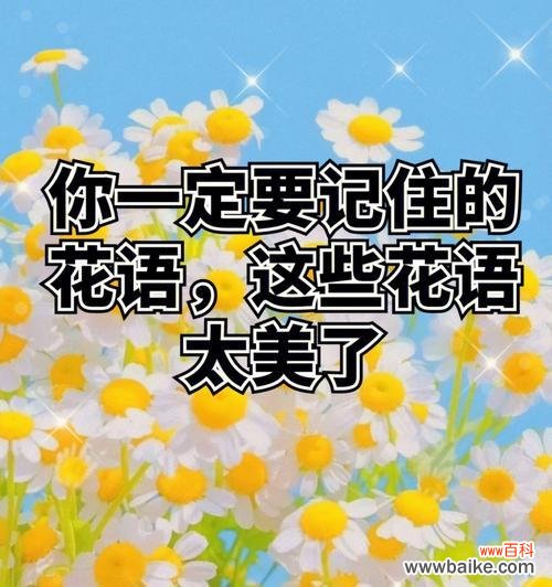 6枝茉莉花花语是什么意思？军中姐妹花语指的是哪种花？