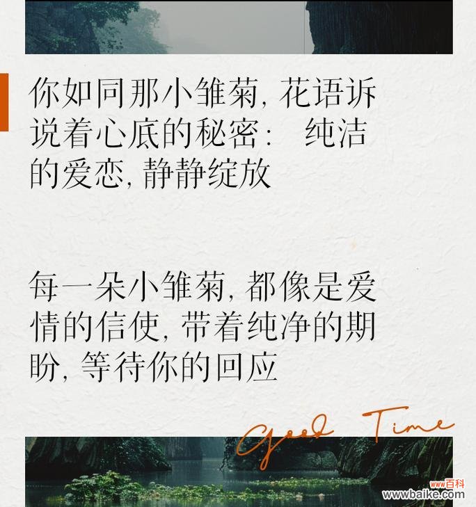 小雏菊的花语有哪些变化?新含义代表什么?