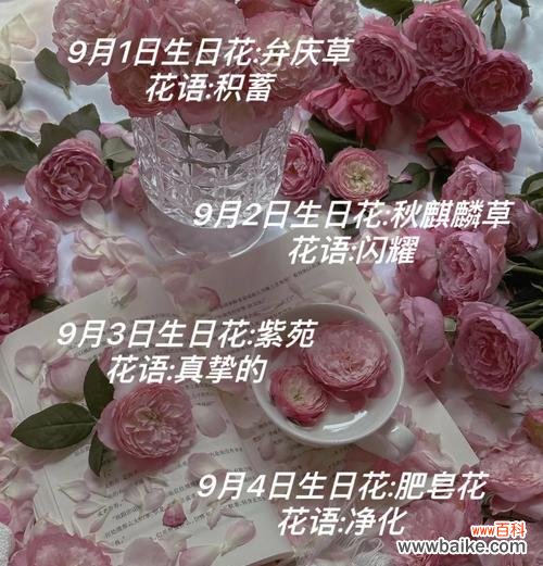 生日花语中有哪些奇怪的含义?它们代表了什么?