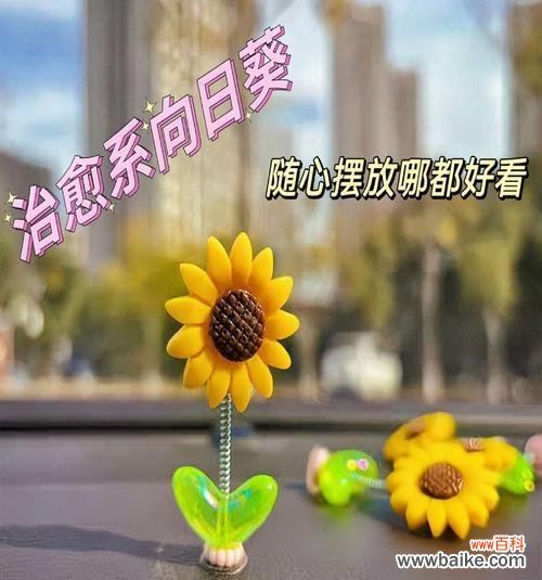 迷你向日葵的寓意是什么?