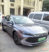 比亚迪秦车型的花语象征是什么？